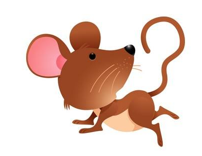 双子座属鼠的人性格解析
