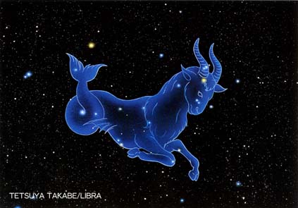 深蓝夜空星座图片